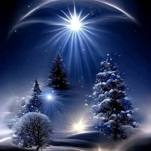 Meet your Posher, Williams